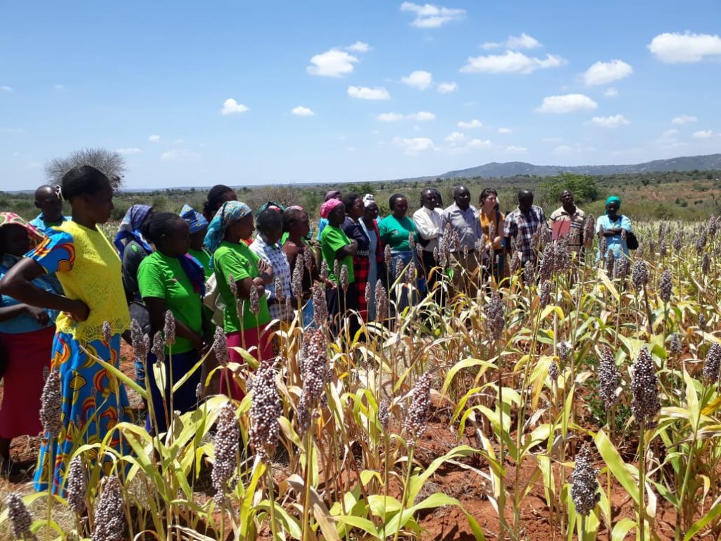 Farmers using ITIKI Solutions for Drought Prediction