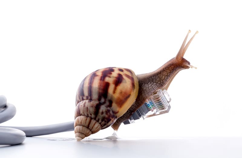 Vitesse Internet d'escargot