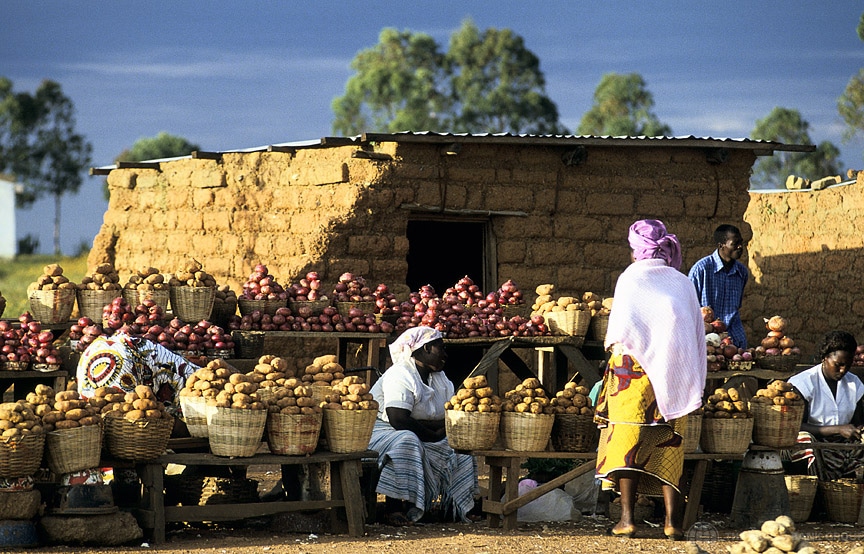 rural nigeria