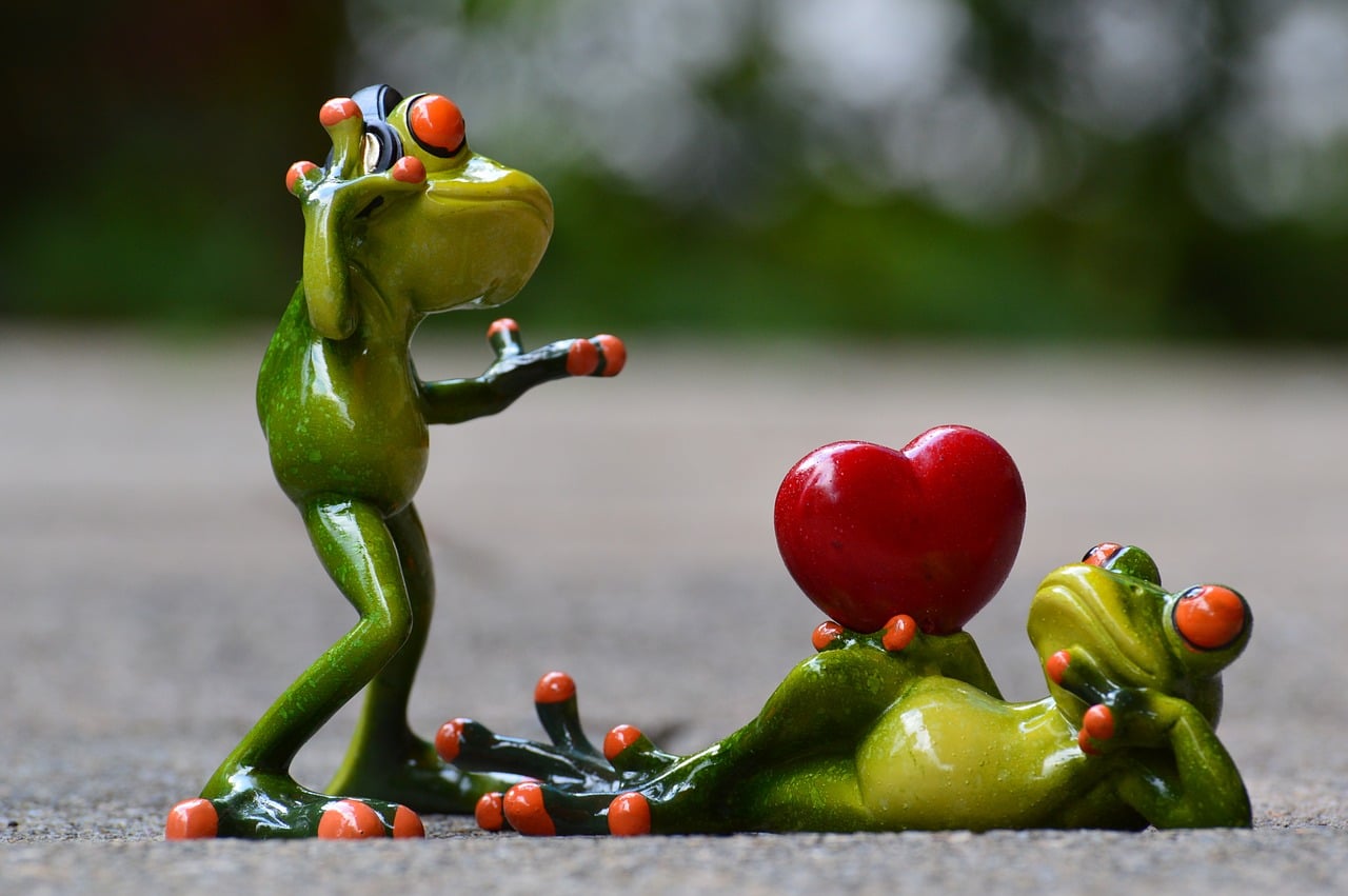 Frog Couple, Frog Couple Figurine, Gift for Him, Gift for Her