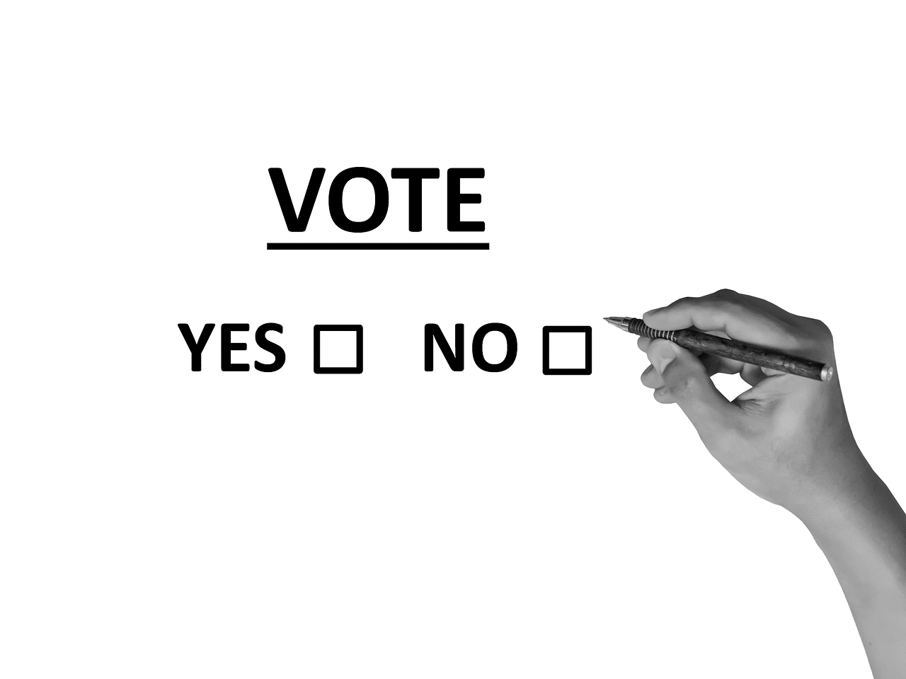 Startup Funding: A beautiful game that must be played with caution 2 vote 2042580 1280