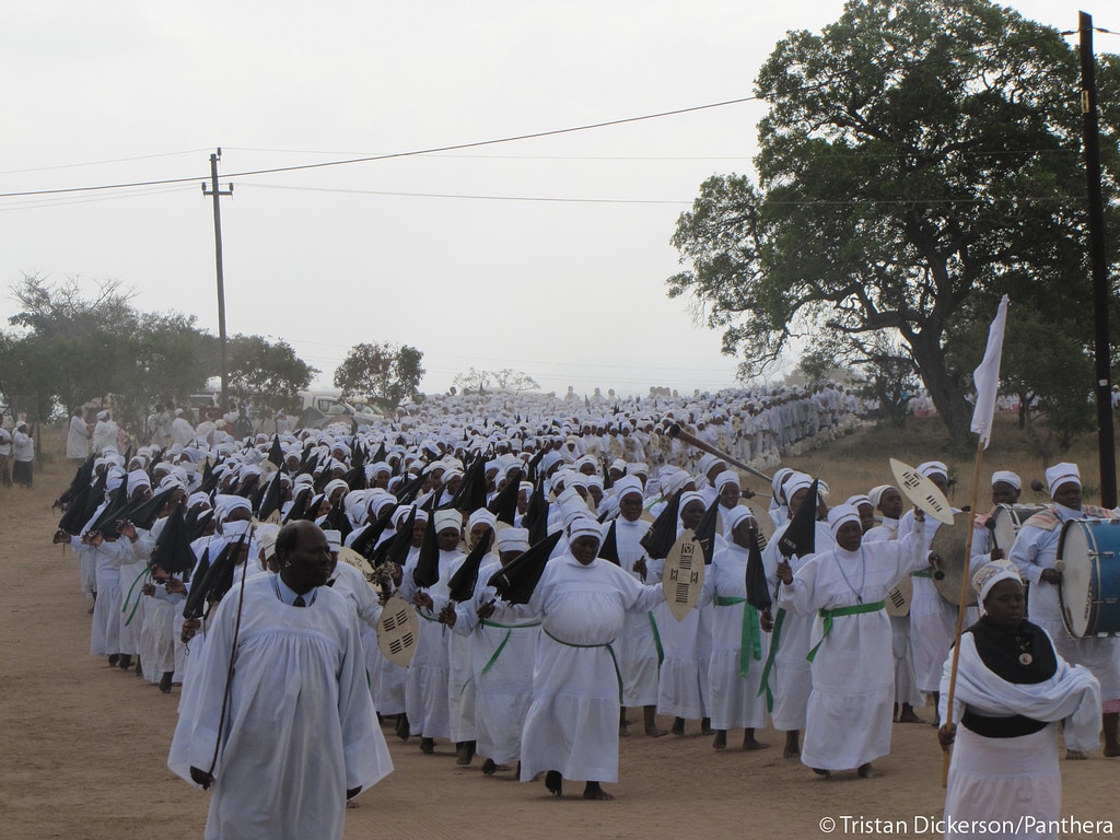 Shembe church members on procession 