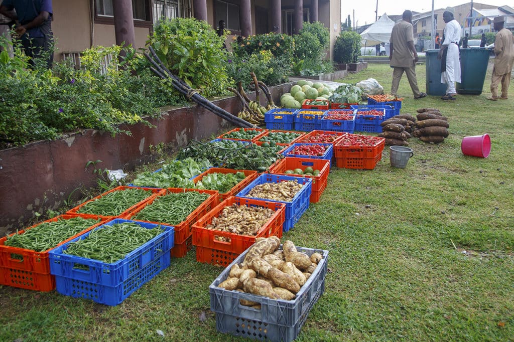 Amana Open Market Abuja 004