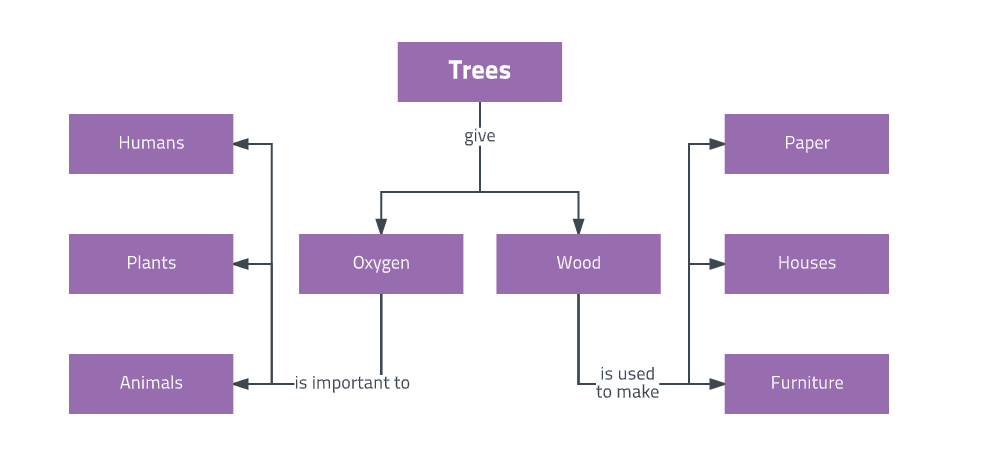 Concept maps n