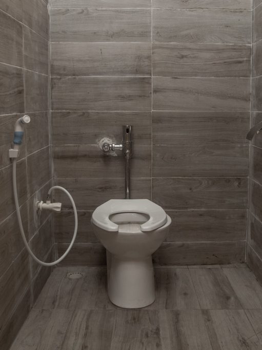 WC autoflush bidet