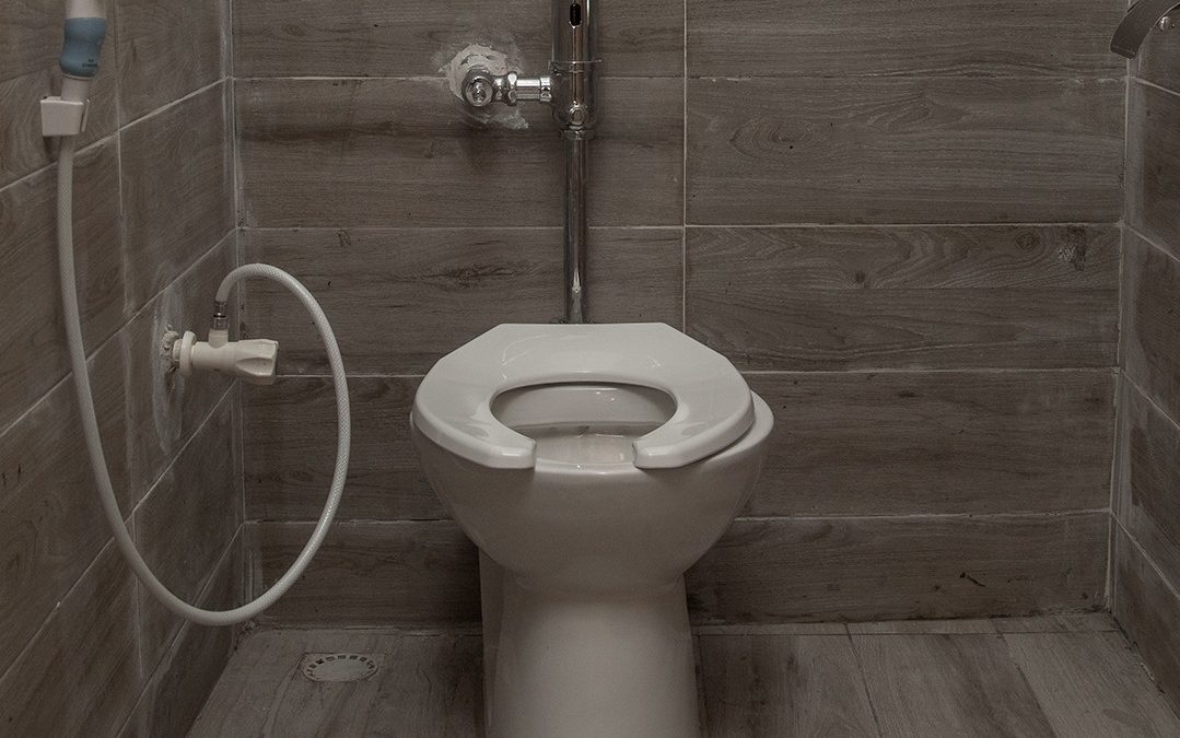 Blog 11 Toilets and sanitation tech, Africa and Internet censorship, Facebook/Nigeria 7.5% VAT