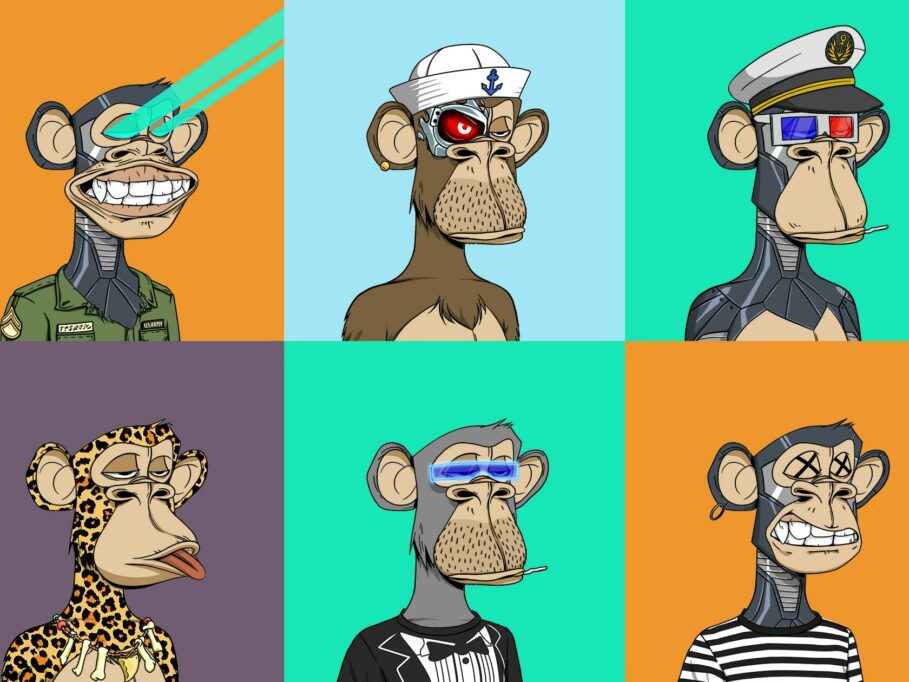 Bored Ape Yacht Club collection The New Yoker