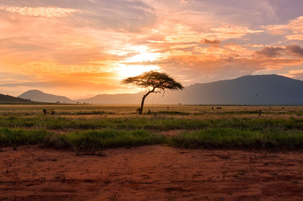 The Kenyan ladscape. Photo by Damian Patkowski via Unsplash