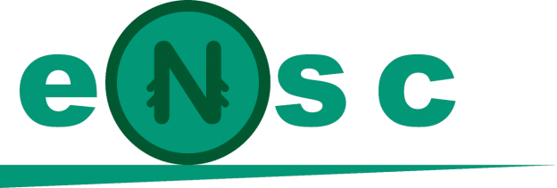 Prosperavest ESG LTD Launches “eNsc” – A Naira-Pegged Stablecoin on Lisk 2.0 Blockchain, Enabling Tokenized Real-World Asset Investments 1 image 122