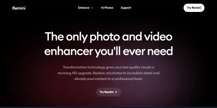 Remini homepage