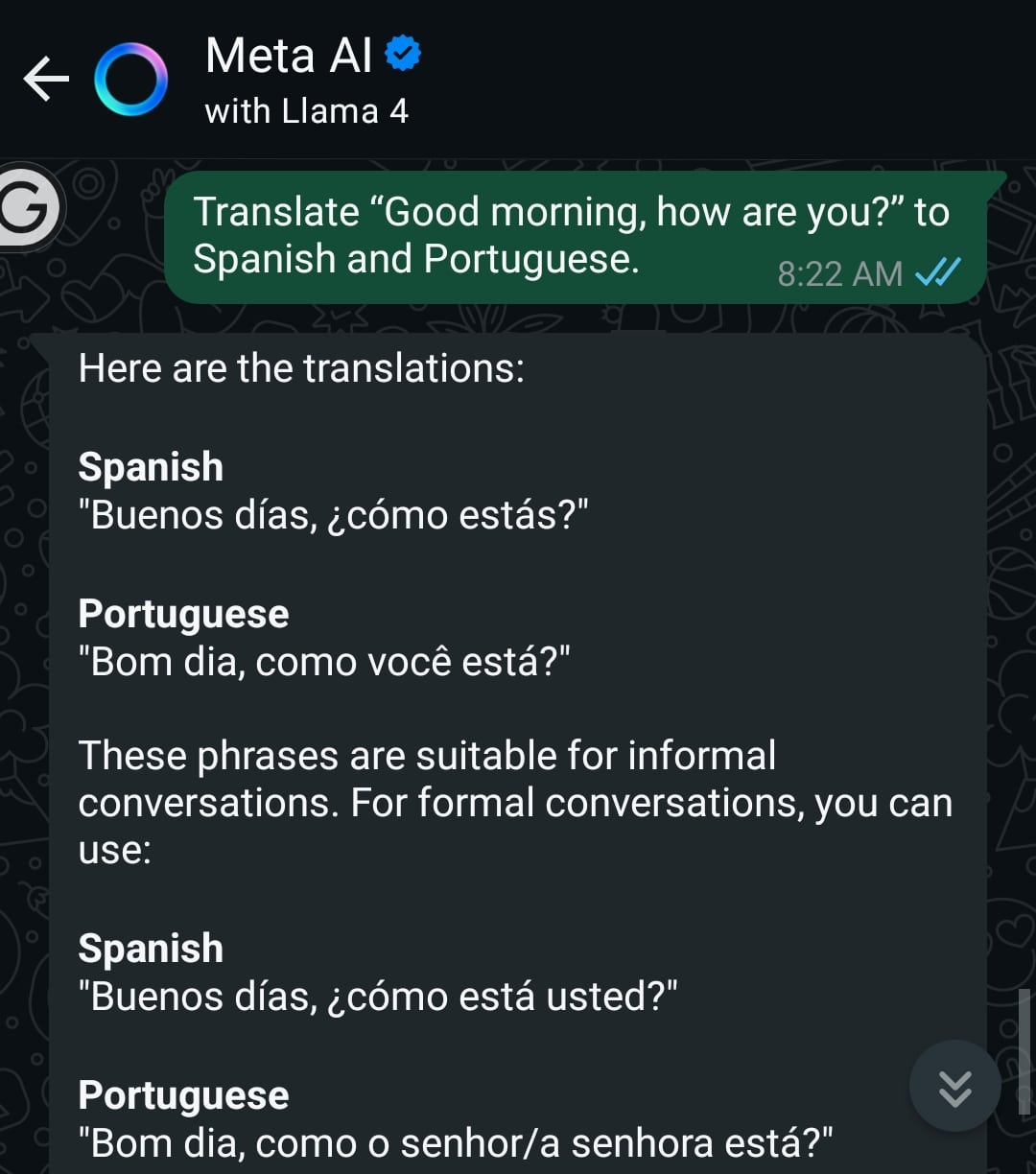 Meta AI Translation Response