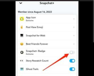 How to know if someone has snapchat plus (2025 guide)