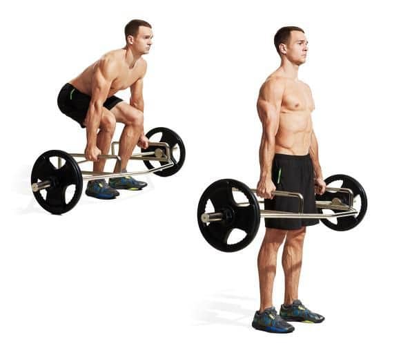 6 best Deadlift alternatives for strength and muscle growth (2025) 2 AD 4nXeHLbYV