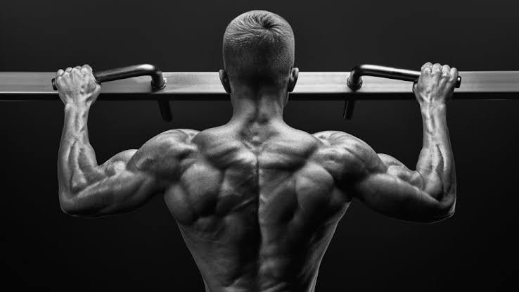 I tested the 6 best Lat pulldown alternatives for back workouts 2 AD 4nXfl5HAS6 bzebKXb9J2rHWLzqqyvd0OAF7yLfiPRGAoFsZzhODLqVcOAIpjT8ksWToobnfxucqWXcRKRBCEDfepsI b37YmnFSEhG3coZi8k0JkFzGRfgTJDM5CDUbzL0iWu3azdQ