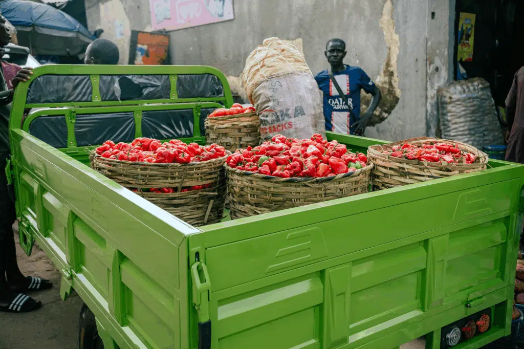 BevAgro Electrifies Nigeria’s Food Supply Chain with EVs — Turning Food Waste into Profit 2 image 15