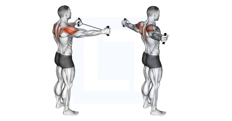 8 best Face Pull alternatives for stronger rear delts & posture 2 image 38