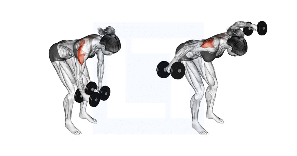 8 best Face Pull alternatives for stronger rear delts & posture 3 image 39
