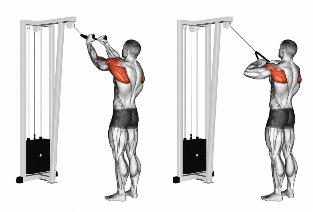 8 best Face Pull alternatives for stronger rear delts & posture 4 image 41