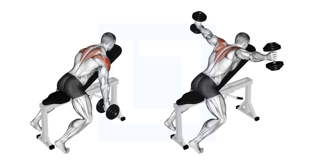 8 best Face Pull alternatives for stronger rear delts & posture 6 image 42