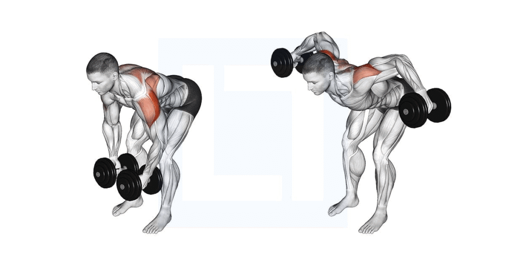 8 best Face Pull alternatives for stronger rear delts & posture 7 image 43