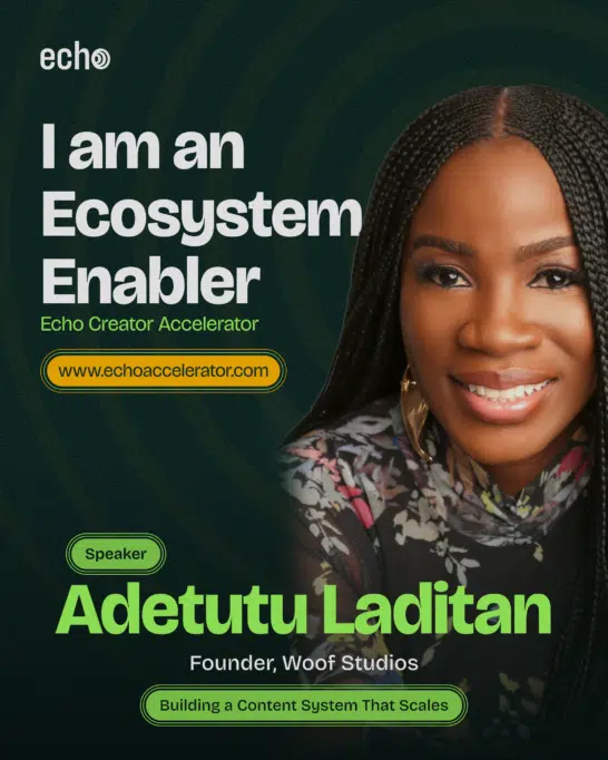 Tayo Aina, Tomike Adeoye, and Dammy Twitch to Lead "ECHO" Accelerator Free Registration Closes 22nd 1 Adetutu Laditan 1