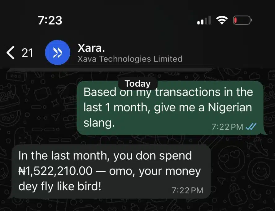 This Nigerian founder got an offer from Elon Musk's xAI after his AI startup went viral 1 Using Xara on WhatsApp