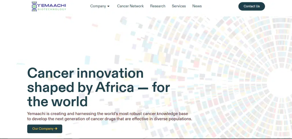 African AI startups solving local problems that matter in 2026 2 startup 2