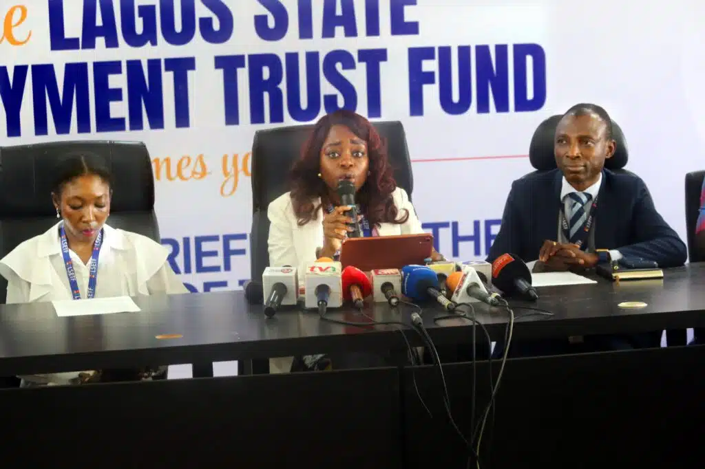 10 years, ₦15bn, 320,000 jobs: How LSETF became a lifeline for Lagos entrepreneurs 1 Executive Secretary, Lagos State Employment Trust Fund, Feyisayo Alayande |techpoint.africa