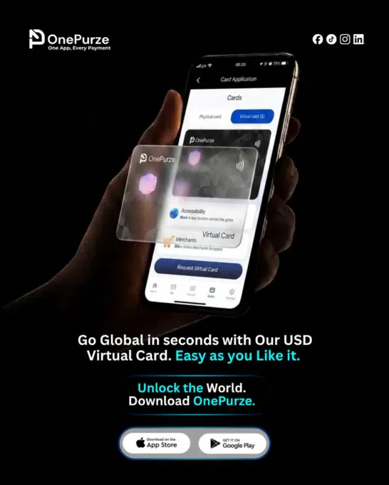 Introducing OnePurze: The Revolutionary Platform for Nigerians to Get Paid and Send Money Abroad 2 image 16