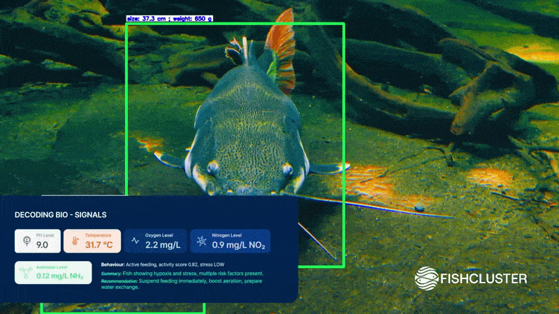 Fishcluster has $1m in commitments for AI and underwater robots that see what Nigeria's fish farmers cannot 2 Fishcluster has $1m in commitments for AI and underwater robots that see what Nigeria’s fish farmers cannot