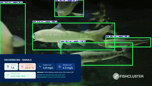 Fishcluster has $1m in commitments for AI and underwater robots that see what Nigeria's fish farmers cannot 2 Fishcluster OS demo